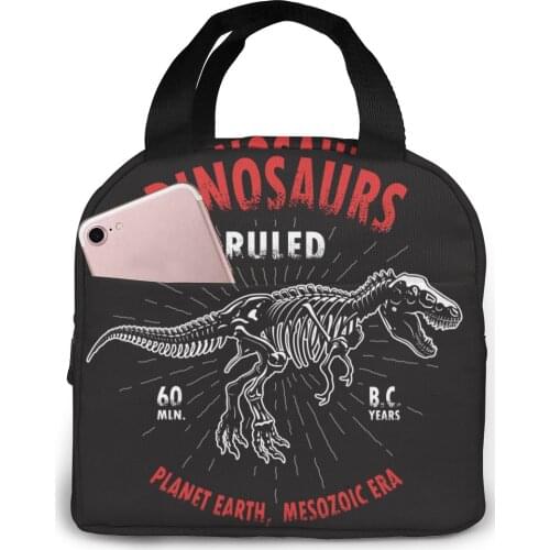 Dinosaur Skeleton Vintage Lunch Food Box Bag Insulated Thermal Food Picnic Lunch Bag for Women kids Men Cooler Tote Bag