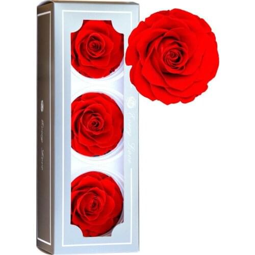 8cm Rose head 3pcs/box Flowers Immortal Rose Valentine Gift Eternal Life Flower Material Rose kunstbloemen Eternelle Gift Box