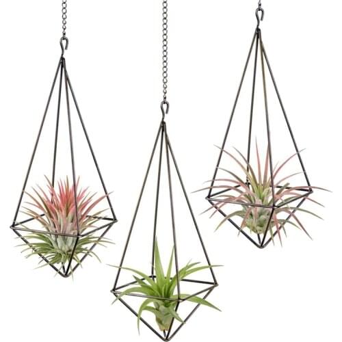 New 3 Pack Hanging Air Plant Holder Geometric Planter Air Plant Rack Tillandsia Hanger with Chain for Home Decor