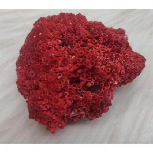 100% Natural red Coral Aquarium Decor Fish Tank Decoration Aquarium Landscaping Ornaments Home Decoration