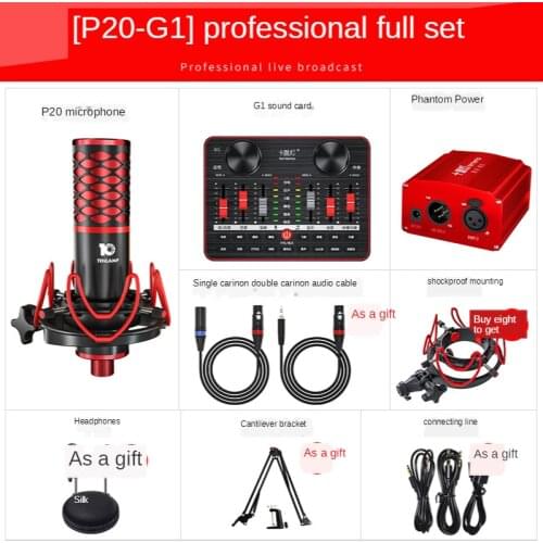 Audio Condenser Microphone Studio Vocal MIC Tripod for PC YouTube Video Chatting Gaming Podcast Recording with Mount Stand P20