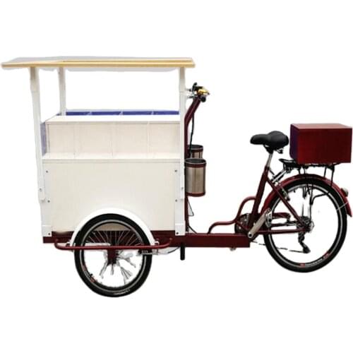 Customize Outdoor Fruit Snack Salad Display Electric Tricycles Food Carts Adult Cargo Bicycles for Sale
