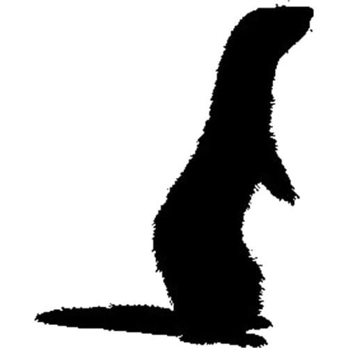 17*13.8cm FERRET ANIMALS car stickers Cute And Interesting Fashion Sticker Decals car accessories New Style Hot