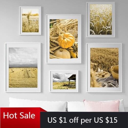 Canvas Painting Nordic Style Pumpkin Wheat Field Autumn Nature Scenery Wall Art Pictures For Poster Aesthetic Room Decorative