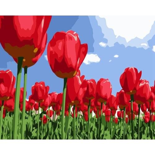 Big Red High Flower Paint By Numbers Coloring Hand Painted Home Decor Kits Drawing Canvas DIY Oil Painting Pictures By Numbers