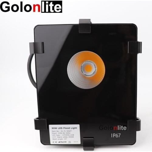 Golonlite LED spotlight 50W 200W 150W 100W 80W 250W 300W waterproof outdoor IP67 Citizen COB LED floodlight Meanwell driver CE