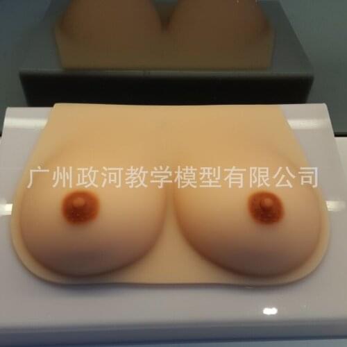 Life Size Silicone Hemispherical Breast Model Prolactinist Prolactin and Breastfeeding Teaching Aids