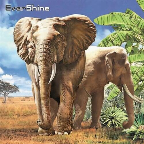 EverShine Diamond Painting Animals Cross Stitch Bead Picture Kits 5D Full Square Diamond Embroidery Sale Elephant Wall Decor