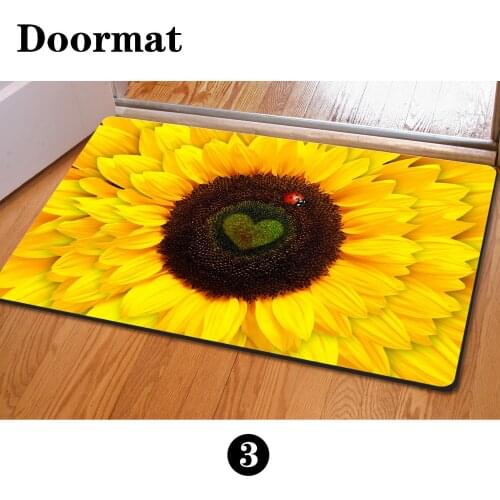 MYHEYMEILY Entrance Carpets For Home