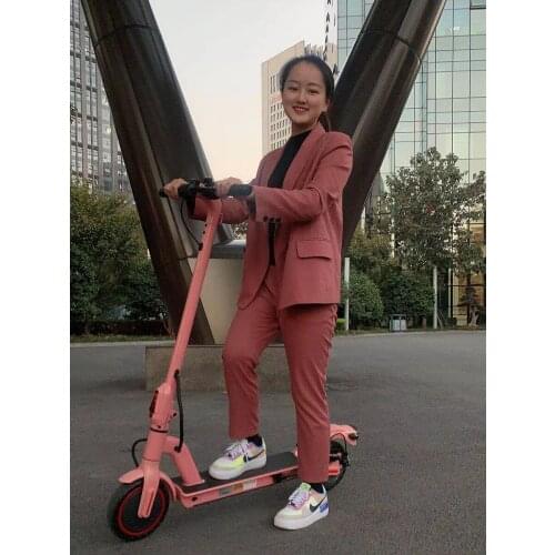 Skate scooter 350W super power