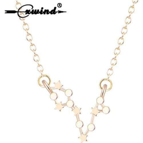 Cxwind Charm Pisces Necklaces Zodiac Sign Astrology Constellation Chain Necklace Birthday Present 19/2-20/3