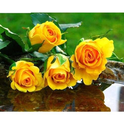 Valentines Day gift 5D DIY Full drill Diamond Painting Cross Stitch Yellow rose Flower Embroidery Rhinestone Mosaic WG1835