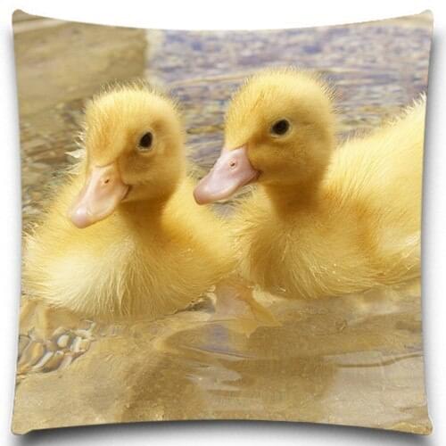 Two yellow duck in swimming 2D print creative Pillow case Square cotton polyester cushion cover 5 size 9 style
