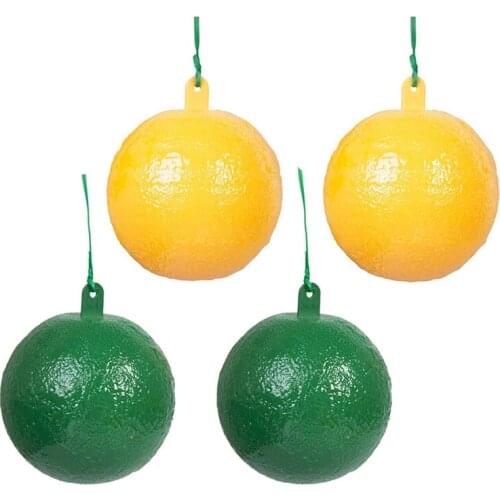 Sticky Fly Traps Hanging, Fruit Fly Traps Outdoor & Gnat Ball Traps, Gnats Killer for Plant, Insect Catcher
