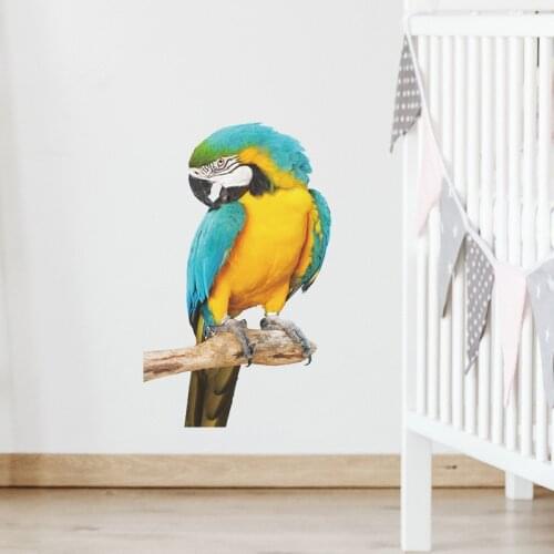 Animal Parrot Wall Stickers Kids Room Bedroom Study Backdrop Wallpaper Mural Home Decoration Living Room Art Wall Decals