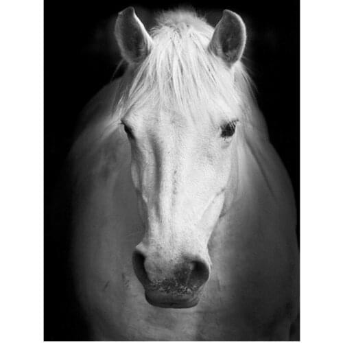 5d Black White Embroidery Mosaic Horse Animal Diamond Painting Kit Bead Picture Wall Paper Rhinestones Draw Christmas Gift New