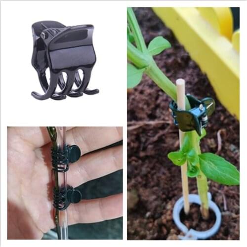 10Pcs/Lot Plant Durable 2*2.5CM Fix Clips Orchid Branching Stem Vine Support Vegetables Flowers Tied Branch Clamping Garden Tool