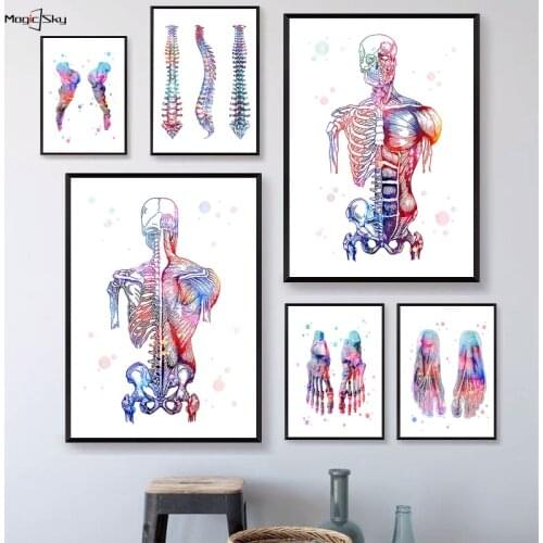 Spine Foot Bones Skeleton Watercolor Art Canvas Painting Poster Print Anatomy Medicine Pictures Clinic Medical Office Home Decor