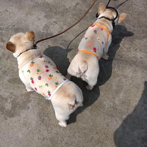 Pet Clothes Summer Cat Clothes Short Cat And Dog Vest Teddy Schnauzer Fighting Clothes Dog Clothes Puppy Clothes Pet Decoration