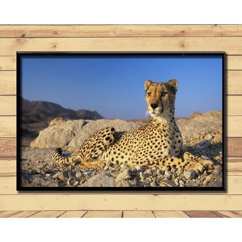 Cheetah Fierce Animal (15) Wall Posters Prints Silk Art Painting For Home Wall Bedroom Decor
