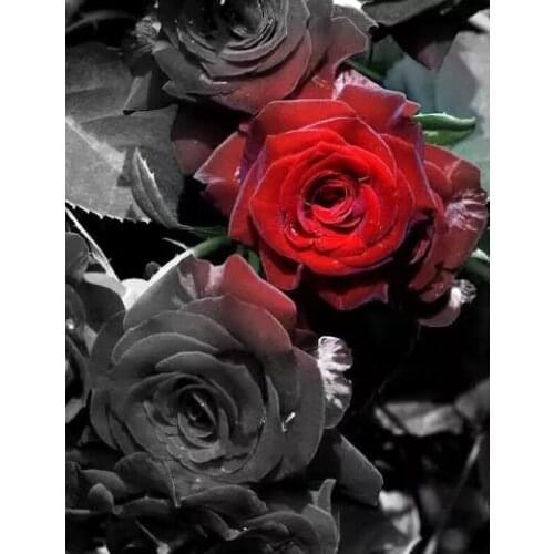 Diamand Painting Rose flower Diamond Painting 5D Full Cross Stitch Kit Diamond Painting Full Drill Kits Rhinestone