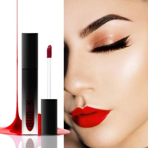 20 Colors Matte Waterproof lasting Lip Gloss Non-stick Cup Liquid Lipstick Beauty Brush Lip Glaze Wine tint TSLM2