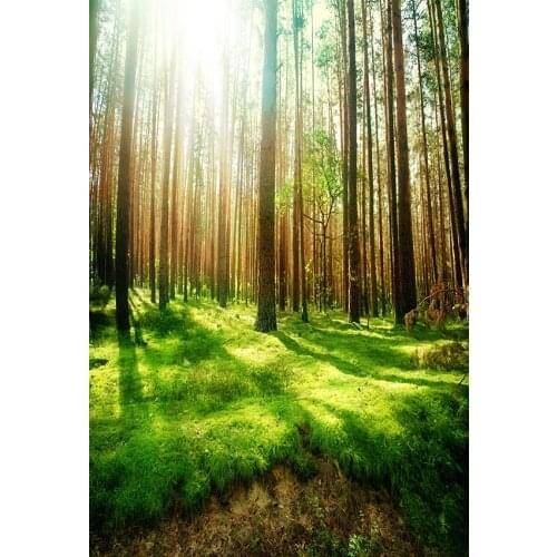 Shining forest photo background vinyl fotografia ins vlog photography backdrops for photo studio props scenic photophone lv-2424