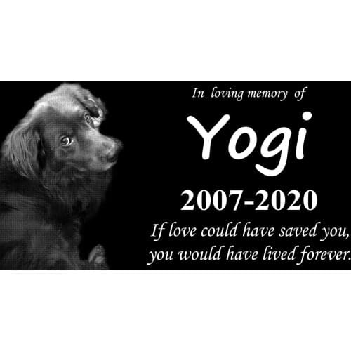 Natural Granite Personalized Pet Memorial Stone, Creative Pets Tombstone, 30X15CM