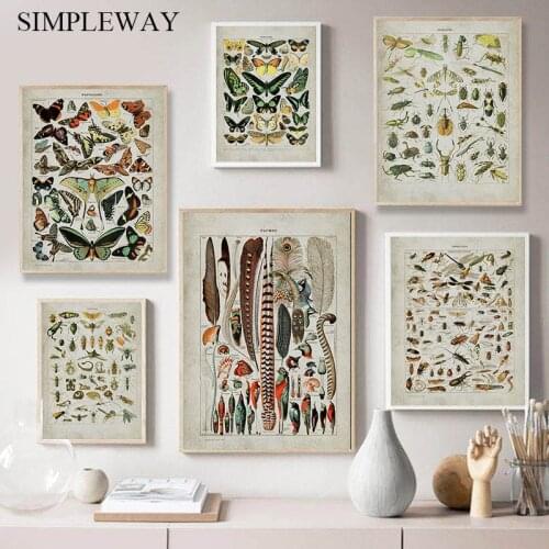 Nordic Vintage Poster Bee Butterfly Insect Chart Canvas Wall Print Bird Animal Art Painting Decorative Picture Education Decor