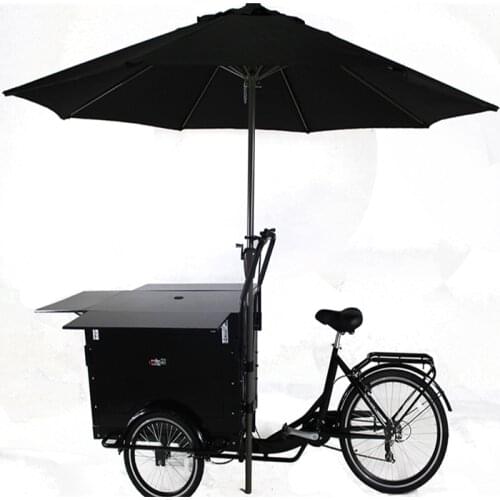 Outdoor Pedal or Electric Cargo Bike Adult Tricycle Three Wheels Mobile Fast Food Vending Cart