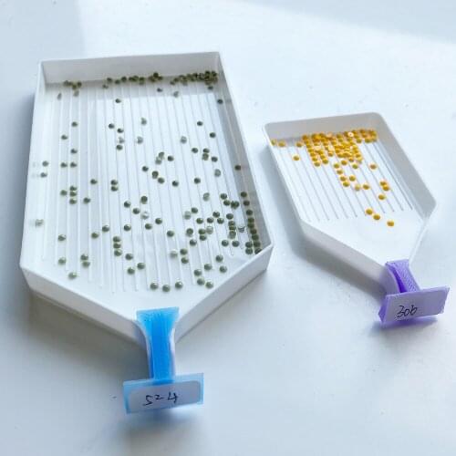 Big Capacity Beading Tray and Tray Stopper with Area for Label Sticker, Diamond Painting Tool