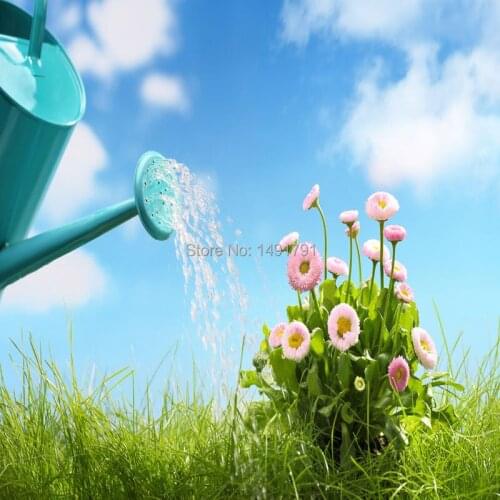 Real-life room escape prop watering prop fantastic water props watering flower to open the lock in chamber room takagism game