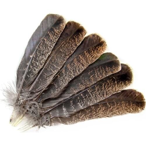 Natural Pheasant Feather for Craft Wedding Party Hat Decoration Chicken Feathers High Quality Provide Plumes Costume Decor 50PCS