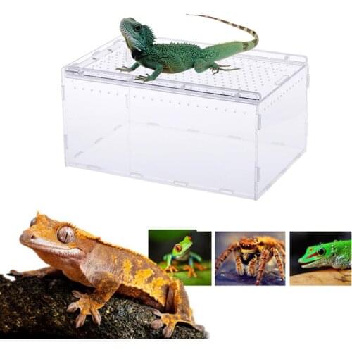 Acrylic Reptile Breeding Box Transparent Panoramic Insect Feeding Box For Snake Spider Lizard Scorpion Centipede