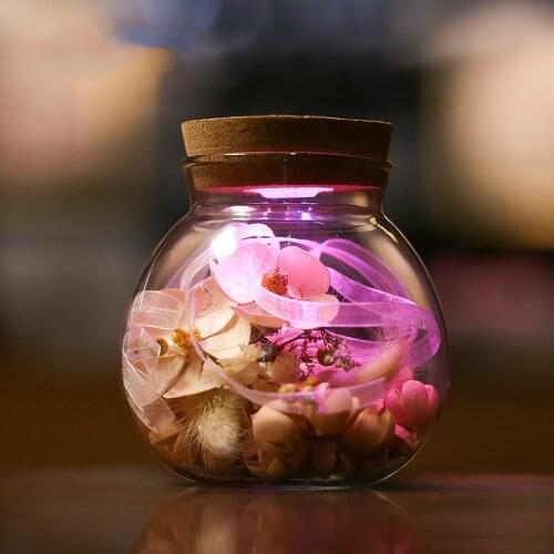 Colorful Bottles Wishing Bottle Dried Flowers Immortal Flower Light Glass Vase Girls Lovers Present and Decorations Night Lamp