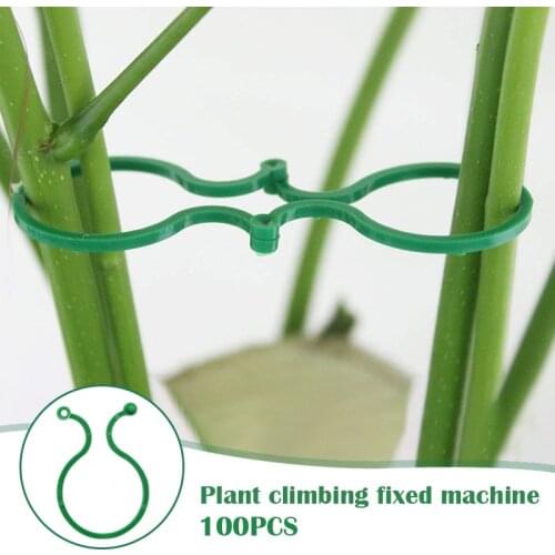 100pcs Garden Vine Strapping Clips Plant Bundled Buckle Ring Tools Holder Tomato Flowers Fixed Suppor Garden Plant Accessories