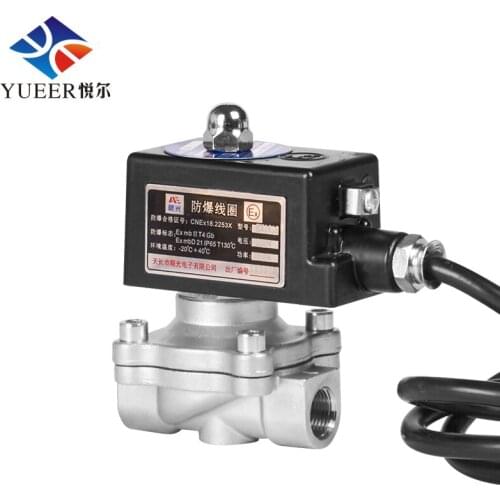 Explosion-proof Solenoid Valve Coal Gas Stainless Steel 304 Direct-acting DN10 3/8" DC 12V Valves