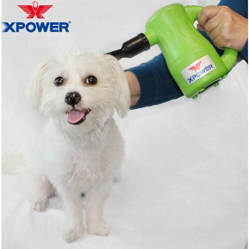 XPOWER Hair Dryers For Dogs