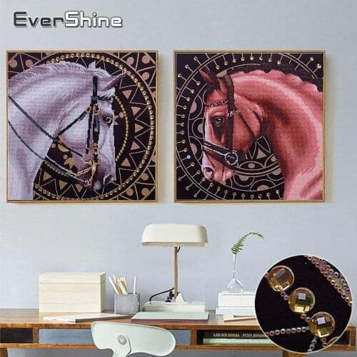 EverShine Special Shape 5D Diamond Painting Horse Diamond Mosaic Animals Cross Stitch Diamond Embroidery Picture Of Rhinestones