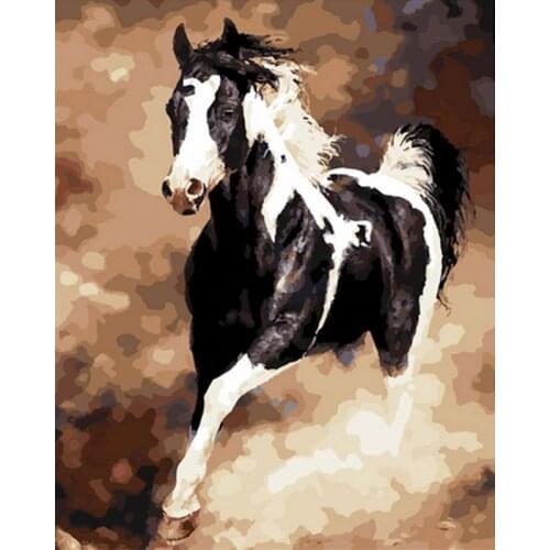 Painting By Numbers DIY Black And White Horse Animals Coloring Home Decoration Modern Canvas For Living Room Artwork Kids Gift