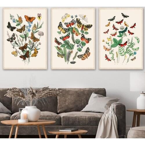 Leaves Flower Butterfly Nordic Posters And Prints Lepidopterist Insect Art Canvas Painting Wall Pictures For Living Room Decor