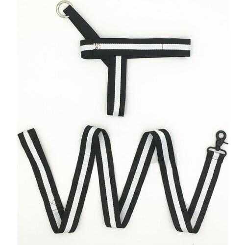 Pet Dog Harness Leash Set For Small Medium Dogs Cats Pet Nylon Walk Out Lead Harness Dog Accessories Dropshipping LC0199