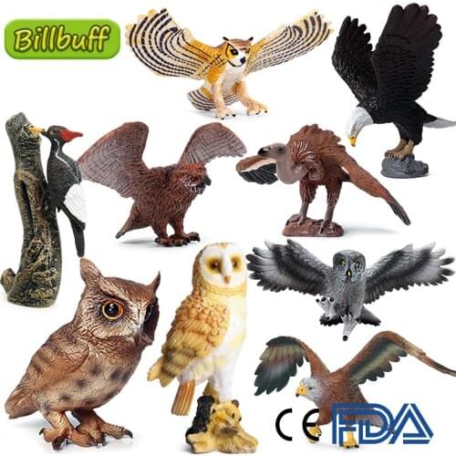 New Simulation Wild Animal Zoo ABS Birds Eagle Parrot Woodpecker Model Figures Collection Cognition Educational Toy for Children