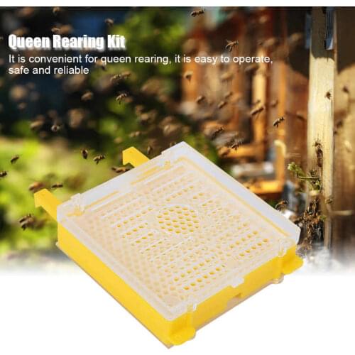 Queen Rearing Package Queen Cell Protective Cover Full Bee Breeding Set for Beekeepers Bee-Keeping Supplies