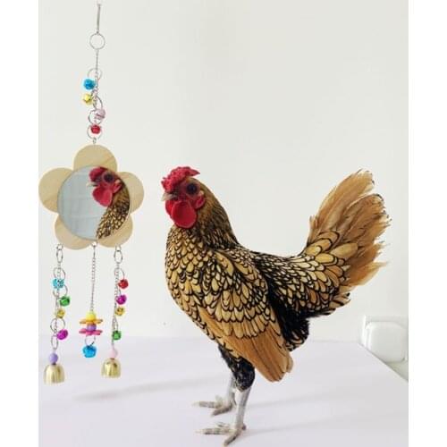 Chicken Mirror Toy with Bells for Hens Hanging Wood Swing Mirror Toys for Large Birds Chicks Roosters Large One Side Mirror
