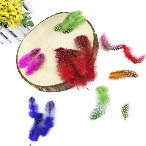 25pcs/Lot Natural Guinew fowl feathers for crafts 5-10CM Chicken feathers Jewelry Earring Decorative Accessories Dyed Colorful