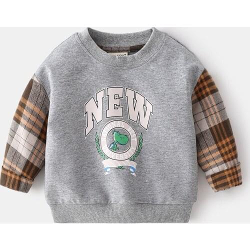 Hollead Sweatshirts For Girls