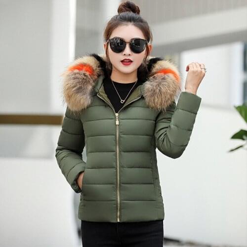 Cotton-padded Clothes Heavy Lead Clothes Fund 2018 New Korean Self-cultivation Code Down Cotton Small Cotton-padded Jacket Tide