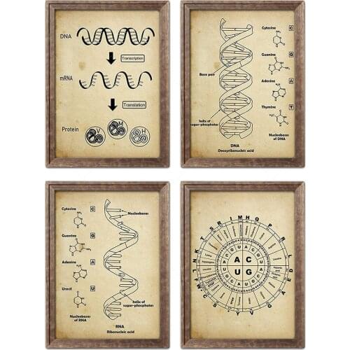Vintage DNA and RNA Genetic Code Set Dna Wall Decor Art Science Wall Art Biology Artworks Chemistry Wall Hanging Genetic Code