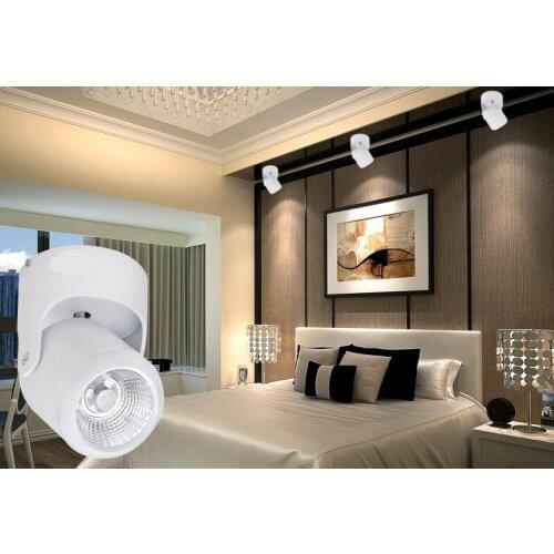 DHL Free 10pcs Surface Mounted COB LED Downlight 10W 20W Spot Down Light LED Spot light lamp AC85-265V Warm/Natural/Cold White